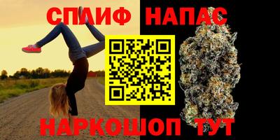 твердый Будённовск