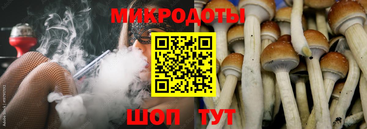 Галлюциногенные грибы MAGIC MUSHROOMS  закладка  Междуреченск  Вход с VPN 